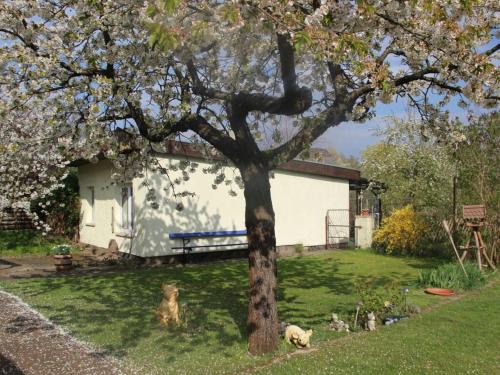 Muritz House | Family idyll Comfortable holiday residence