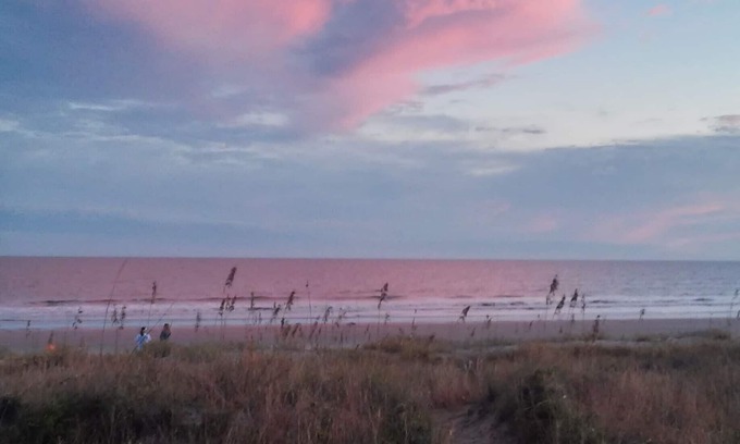 West Beach House | Family & Pet friendly Beachfront - 5 Eugenia