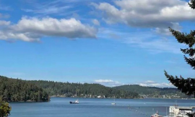 Oak Harbor House | Family & Pet Friendly - Ocean Views & Forest Backyard