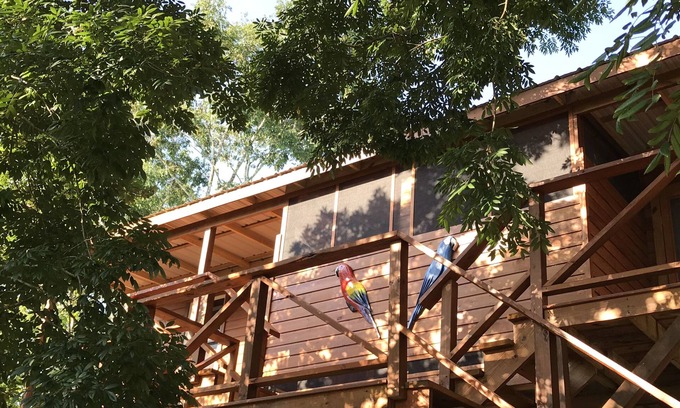 Mount Hope House | Famous exclusive Lodge in the center of Cayo