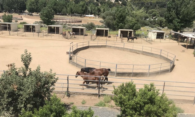 Pine Valley Cottage | Farm Stay 101