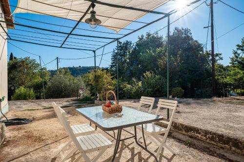 Gazatika House | Farma House