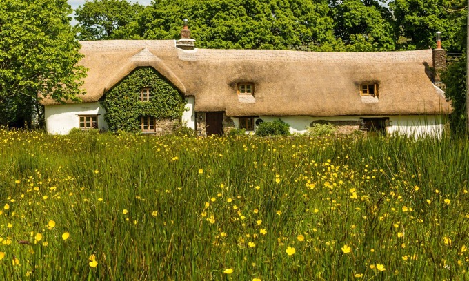 Beaworthy Cottage | Farmhouse Cottage - C12th Thatched Cottage