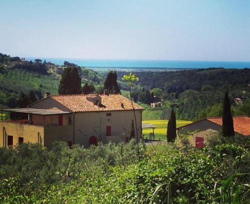 Casale Marittimo Apartment | Fattoria Podere i Luoghi