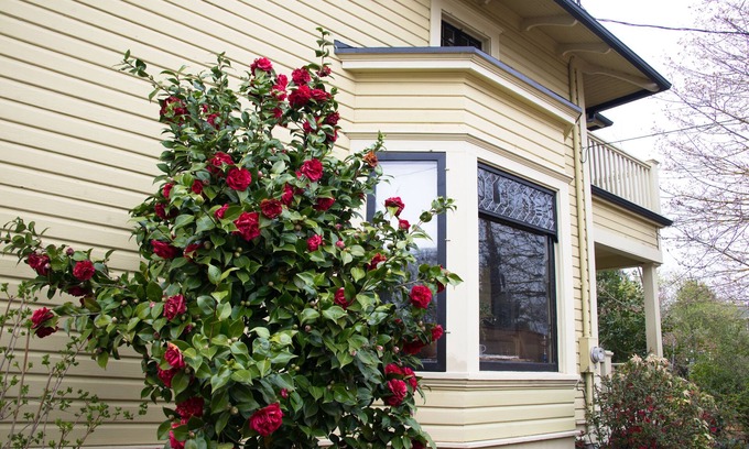 Richmond House | Featured in the Rejuvenation 30th Anniversary Catalog: Stunning Grand Farmhouse