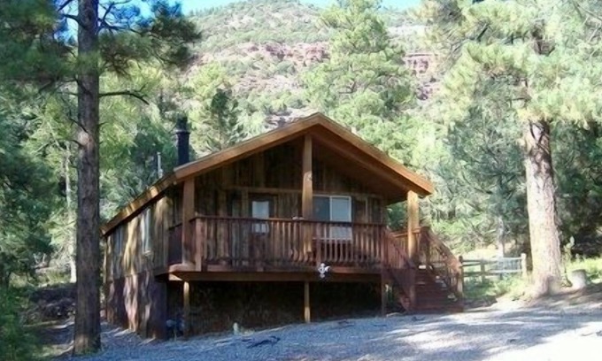 Ridgway Cabin | Feel of Seclusion But Close to Ouray Colorado Near Amenities