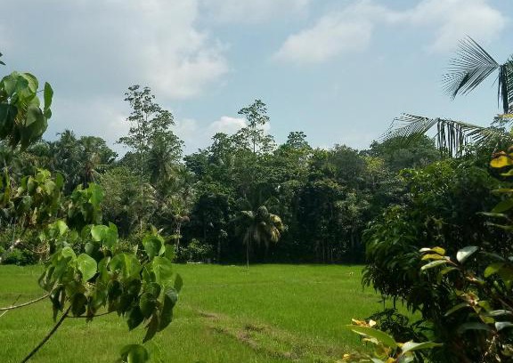 Baddegama House | FENDI eco lodge