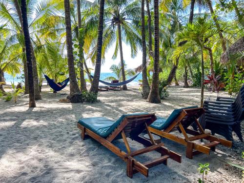 Samara House | Fenix Hotel - On the Beach