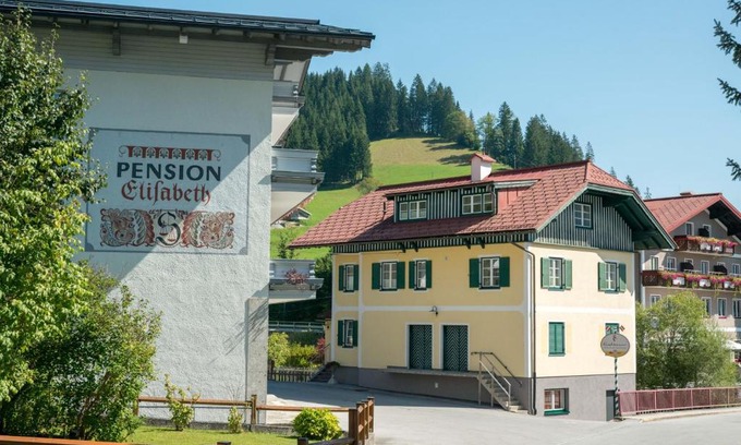 Russbach am Pass Gschuett Apartment | Ferienhaus Elisabeth