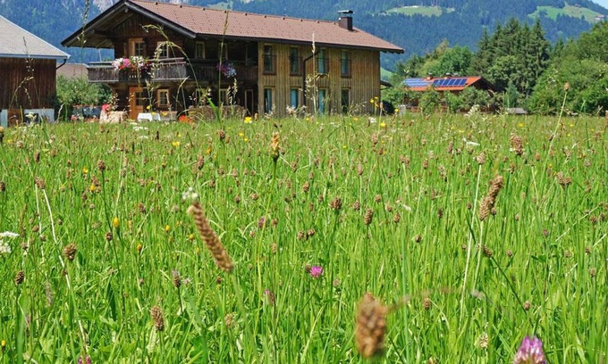 Sonnenberg House | Ferienhaus Dahoam - Ferienhaus "Dahoam"