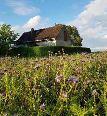 Oberhavel House | Ferienhaus Gransee unmittelbar am Stechlinsee - Radweg