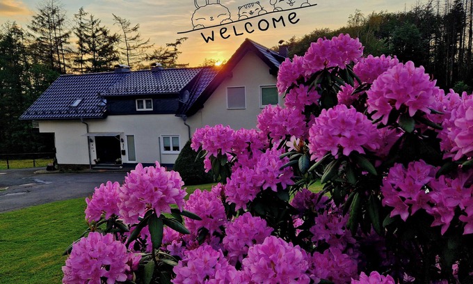 Reichshof House | Ferienhaus - Nebelseifen - Tiere Willkommen -