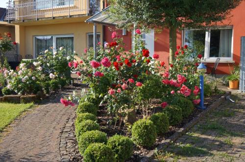 Kapellen-Drusweiler Apartment | Ferienhaus Schloss-Garten