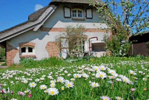Sellin House | Ferienhaus unterm Reetdach