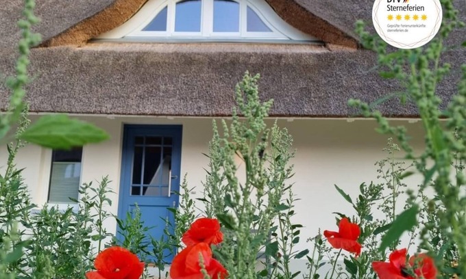 Am Salzhaff House | Ferienhaus Wippezogel
