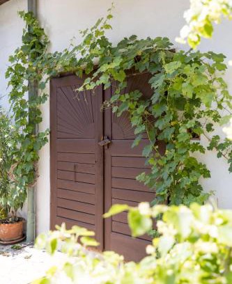 Podersdorf am See Bed & Breakfast | Ferienherbergen S & J Zeisz