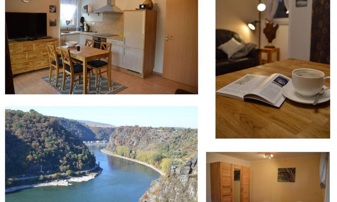 Upper Middle Rhine Valley Apartment | Ferienwohnung 554 - Urbar, vis-à-vis der Loreley