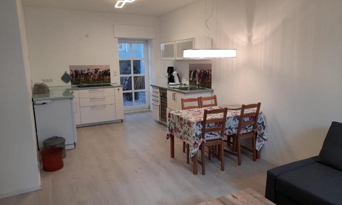 Pellenz Apartment | Ferienwohnung Am Geysirzentrum