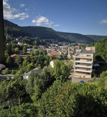 Bad Wildbad Apartment | Ferienwohnung Ausblick