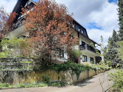 Hallenberg Apartment | Ferienwohnung Bergblick