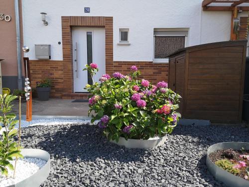 Annweiler am Trifels Apartment | Ferienwohnung Palatina Annweiler