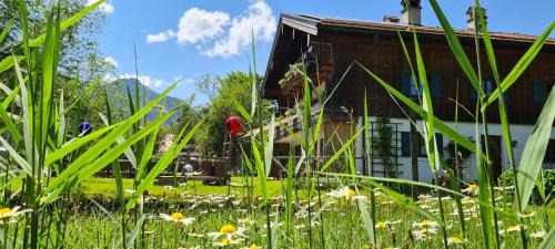 Grashof Apartment | Ferienwohnung Diechtler inkl. Chiemgaukarte