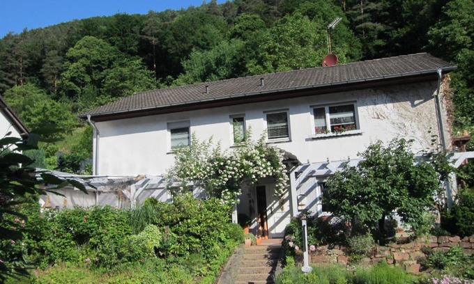 Rinnthal Apartment | Ferienwohnung Drehwald