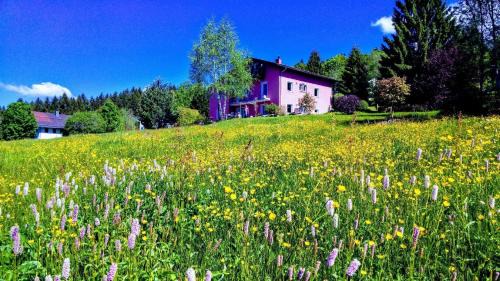 Neureichenau Apartment | Ferienwohnung für 2 Personen ca 40 m in Neureichenau, Bayerischer Wald