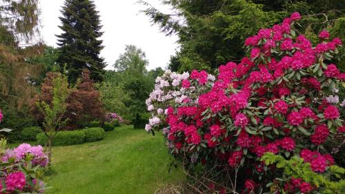Worpswede Apartment | Ferienwohnung Gartenblick