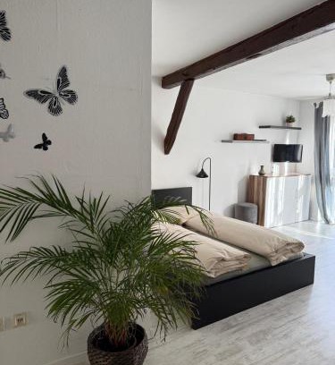 Grossbottwar Apartment | Ferienwohnung im Stadtkern Großbottwar