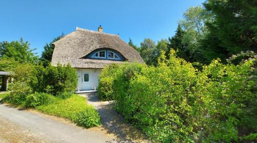 Wiek Apartment | Ferienwohnung im Uhlenhuus