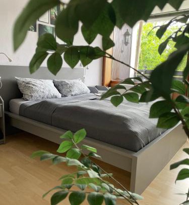Kniebis Apartment | Ferienwohnung in Freudenstadt-Kniebis II