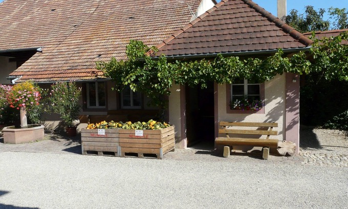Breisach Apartment | Ferienwohnung Oktavia mit ca. 58qm, 2 Schlafzimmer, für max. 4 Personen