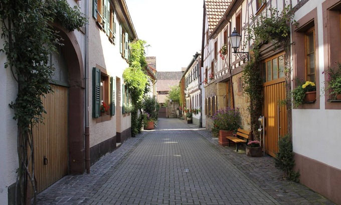 Bad Bergzabern Apartment | Ferienwohnung Spatz - 3-bettwohnung 45m²