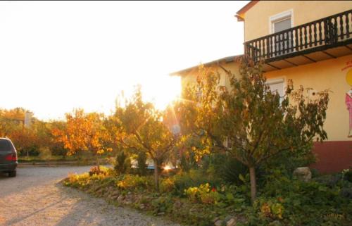 Morbisch am See Apartment | Ferienwohnungen Ödenburgerhof