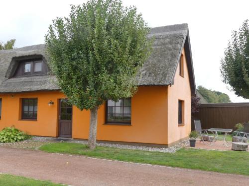 Wieck auf dem Darss House | Ferienwohnungen Strandweg 6