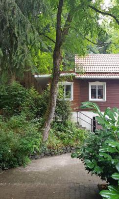 Wildemann Apartment | Ferienwohnungen-Waldblick-Wohnung-2