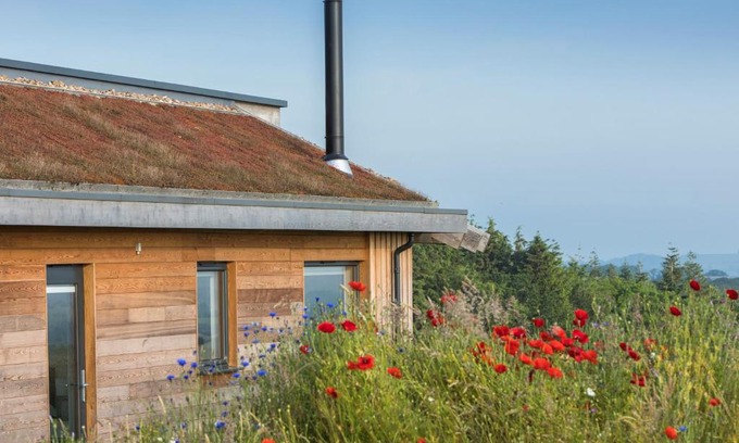 Melcombe Bingham House | Fern