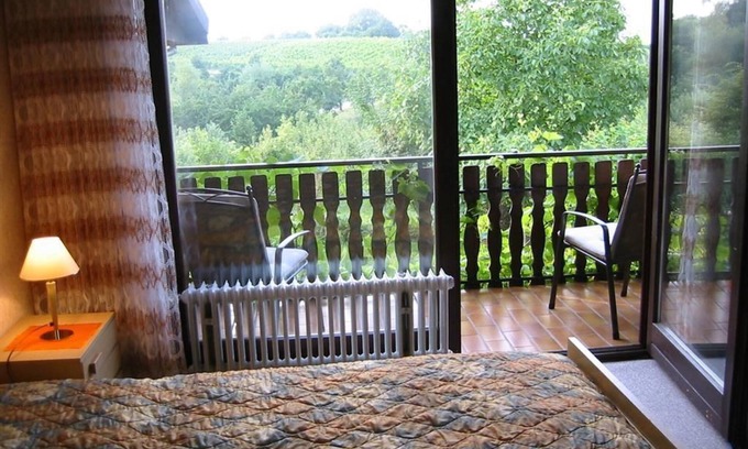 Schweigen-Rechtenbach Apartment | Fewo-balkon - Ferienwohnung Weingut Cuntz Sonnenhof