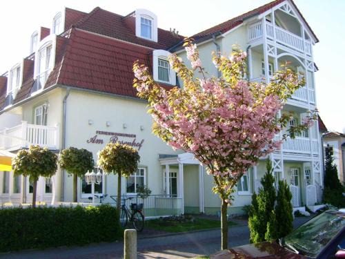 Kuehlungsborn Hotel | Fewo Rosenhof 17