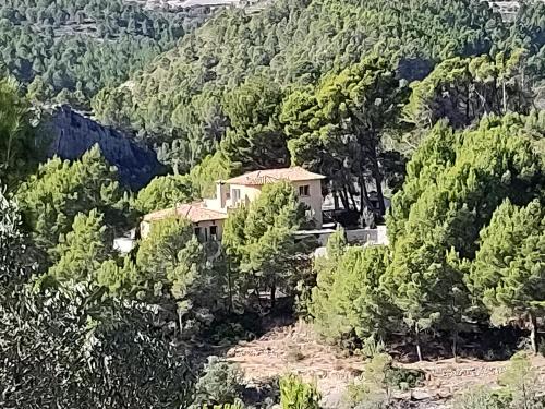 Callosa d' En Sarria Cabin | Finca Caracol