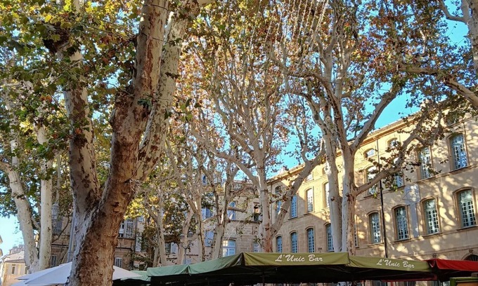 Aix-en-Provence Historic Centre Apartment | Finsonius Studios