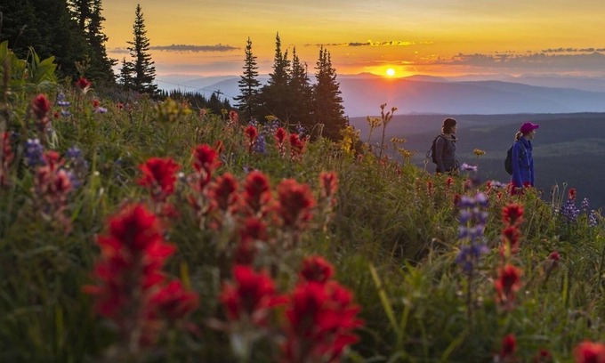 Sun Peaks House | Fireside Lodge #215 by Bear Country