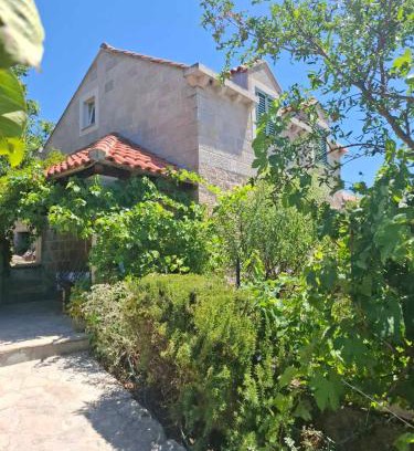 Mocici House | Fishing Family House