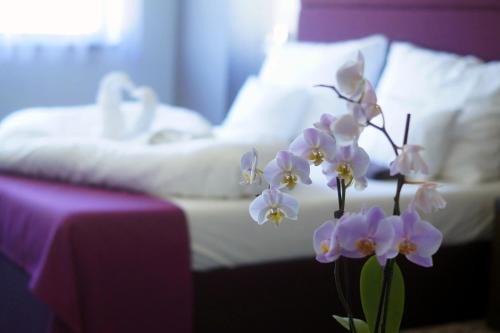 Ajka Bed & Breakfast | Fitromax Sportpanzió Ajka