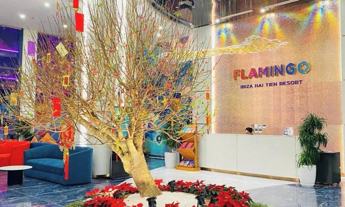 Hoang Hoa Apartment | Flamingo Bau Abtel