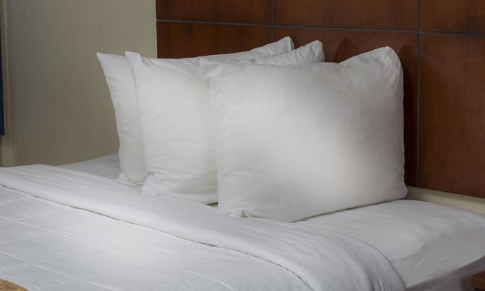 Kissimmee Hotel | Flamingo Express Hotel