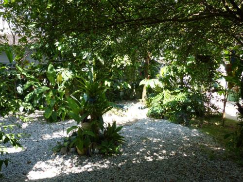 Jardim Itagua House | Flautista Suites