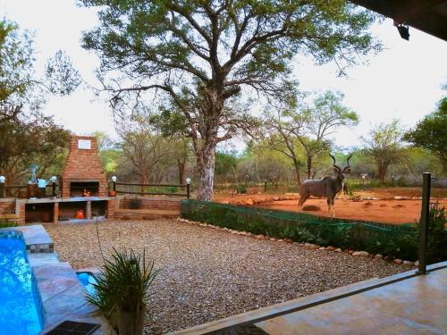Marloth Park House | Flight of the Eagle @ Kruger