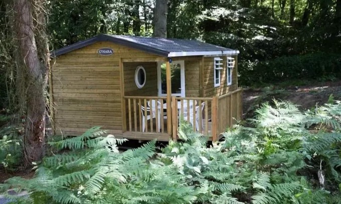 Yport House | Flower Camping La Chênaie * - Mobile home Standard Wood 31m2 3 bedrooms + semi-covered terrace 18m2 + TV 6 persons